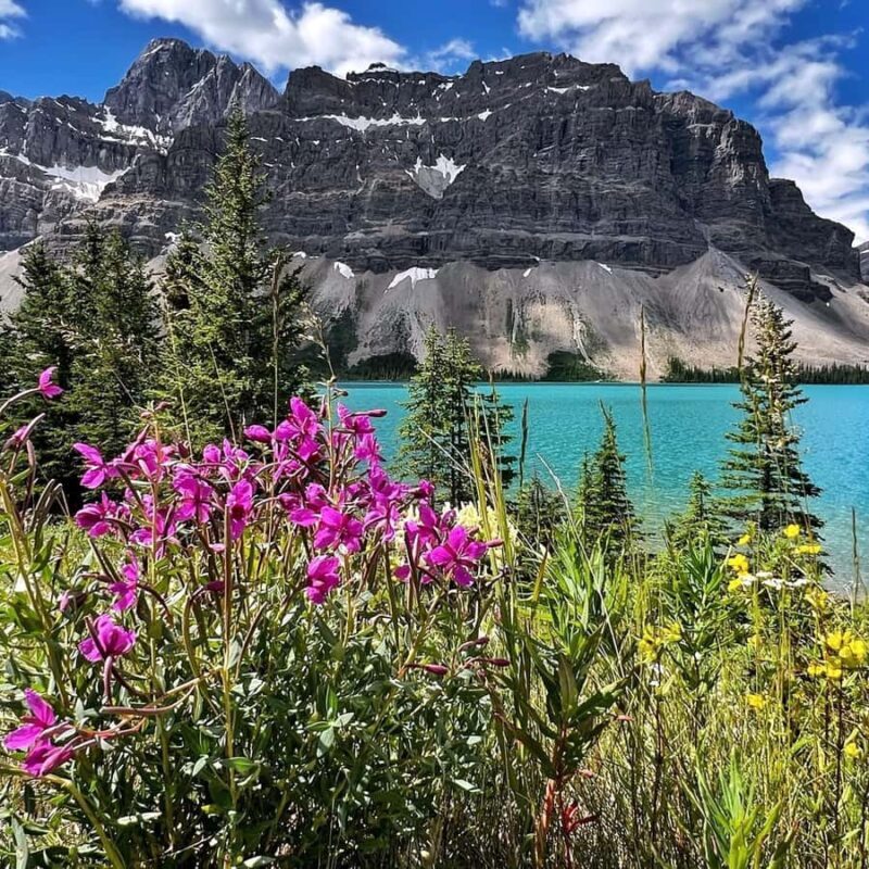 Best of Glaciers from Calgary/Canmore/Banff: Tour - Practical Details That Matter