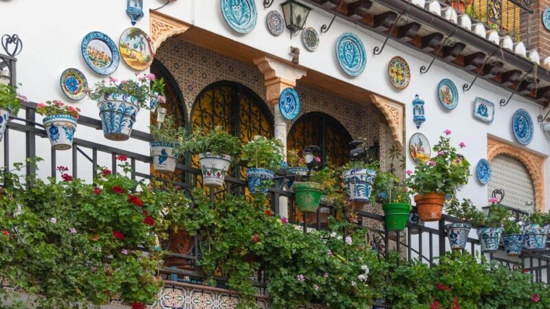 Best of Granada: Private Walking Tour with a Local - Authentic Experiences and Reviews