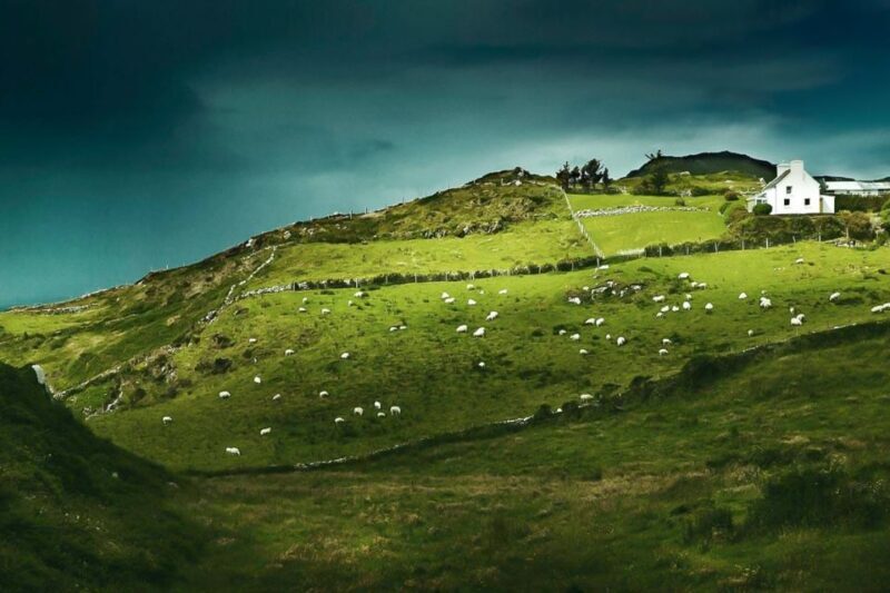 Best of Ireland 6-Day Backpackers Economy Tour - Authentic Experiences and the Guides