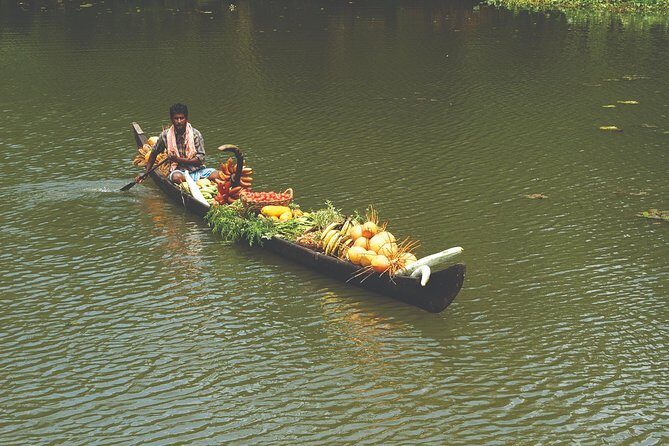 Best of Kerala Tour Package 7 nights / 8 days by Sanguine Holidays - Key Points