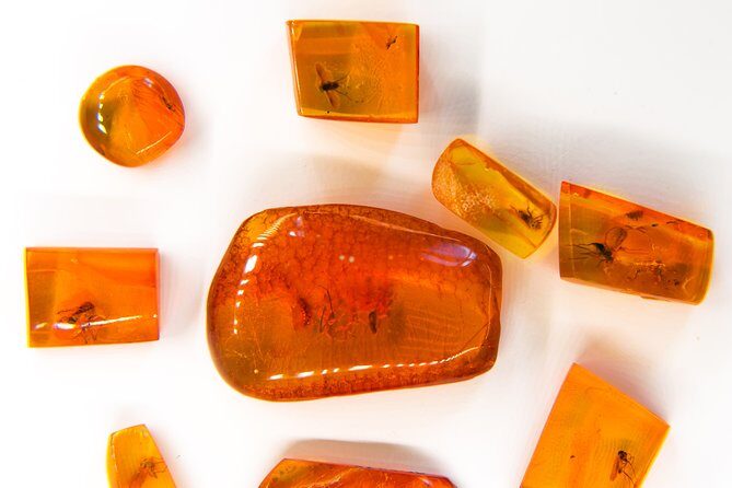 Best of Klaipeda & Curonian Spit Join-in Shore Excursion - The Sum Up