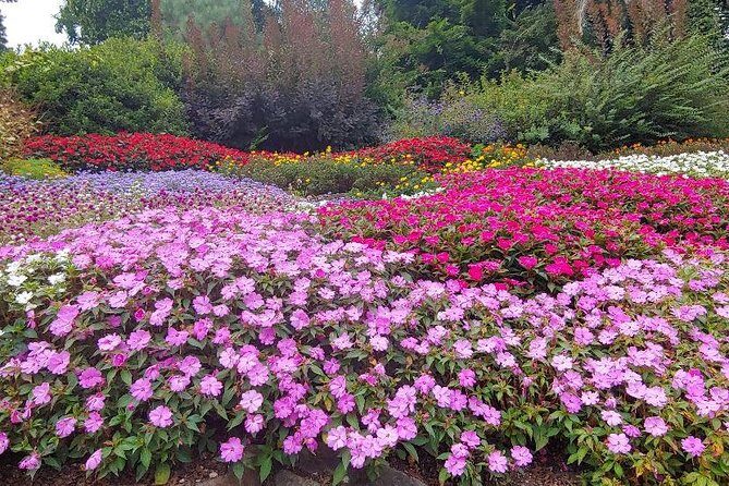 Best of Lake Como: guided visit to Villa Carlotta + 1 h private watertaxi cruise - Who Is This Tour Best Suited For?