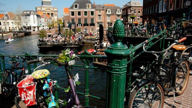 Best of Leiden: Private Walking Tour with a Local - The Sum Up: Who Will Appreciate This Tour?