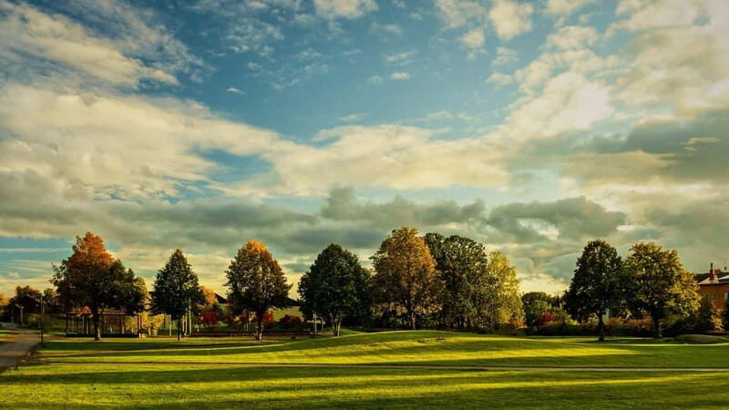 Best of Linköping: Private Walking Tour with a Local - Exploring Linköping Through a Local Lens