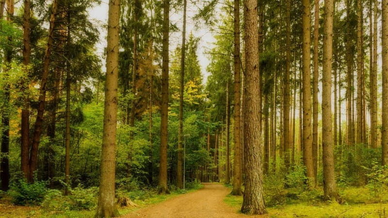 Best of Linköping: Private Walking Tour with a Local - Authenticity and Value