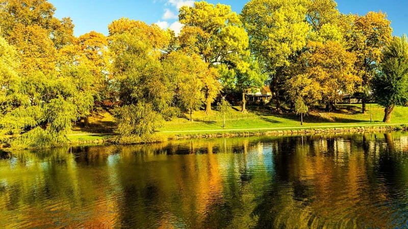 Best of Linköping: Private Walking Tour with a Local - The Sum Up