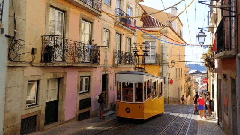 Best of Lisbon: Private Walking Tour with a Local - Key Points