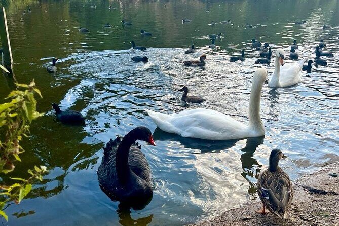 Best of London Tour: Tower of London and Churchill War Rooms - Who Will Love This Tour?