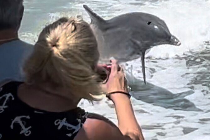Best of Marco Island Dolphin Tour - The Itinerary in Detail