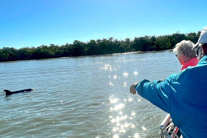 Best of Marco Island Dolphin Tour - Who Will Love This Tour?