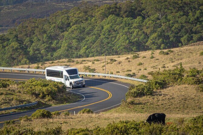 Best of Maui Tour: Sips, Sites and Bites with Lunch - FAQ