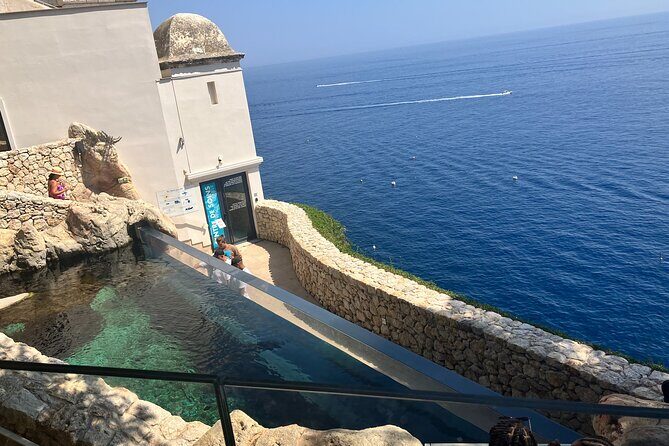 Best of Monaco Private Tour and Outlet Shopping Experience - A Closer Look at the Tour Experience