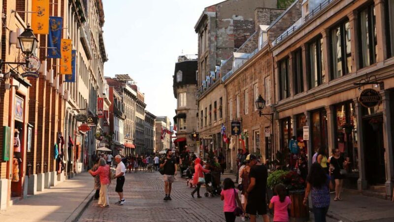 Best of Montréal: Private Walking Tour with a Local - Exploring Montréal Through a Private Guide