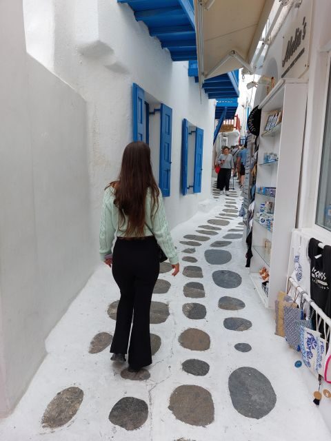 Best of Mykonos island 4 hours private tour - Key Points