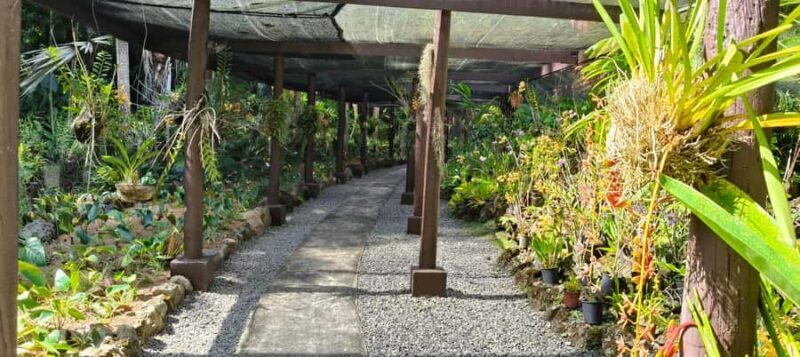 Best of Nadi Highlights - The Spiritual Heart: Sri Siva Subramaniya Temple