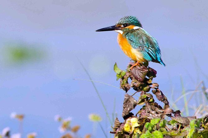 Best of Nepal Luxury Adventure Tour Package - 9 Days - Exploring the 9 Days of Nepal’s Best: A Deep Dive