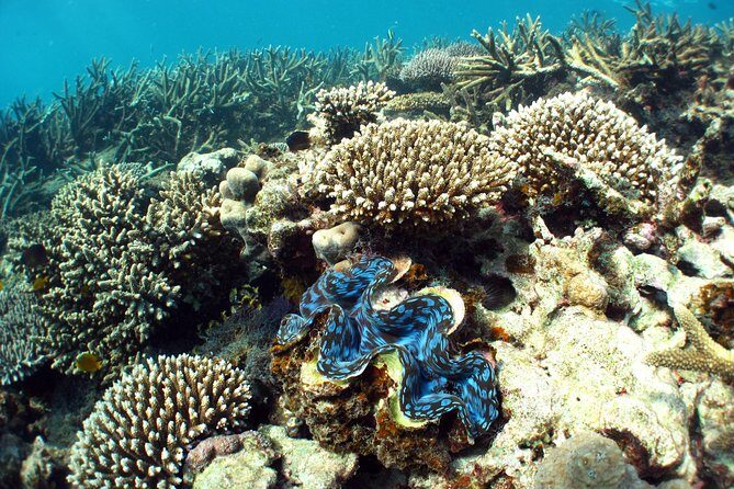 Best of Ningaloo Mantas and More - FAQ