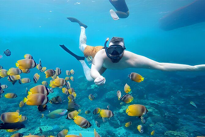 Best of Nusa Penida Snorkeling: Manta Bay, Wall Point & Gamat Bay - FAQ