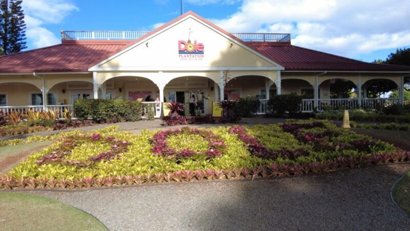 Best of Oahu in One Day - The Experience: A Deep Dive into the Itinerary