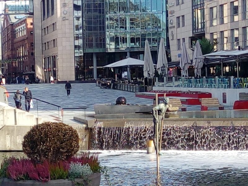 Best of Oslo: Walking Tour with a local guide - Who Will Love This Tour?