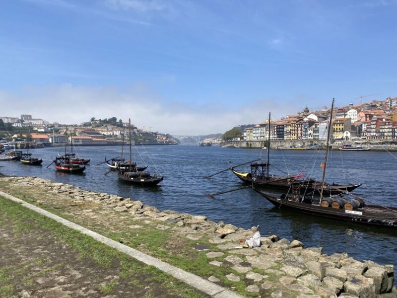 Best of Porto - Private Tour from Lisbon - A Closer Look at What the Tour Offers