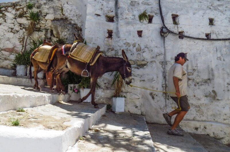 Best of Rhodes and Lindos Private Tour - Small Group - Analyzing the Value and Practicalities