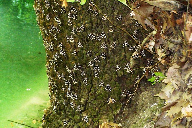 BEST OF RHODES ISLAND - PRIVATE TOUR - SHORE EXCURSION - FULL DAY - 4 People - Final Thoughts