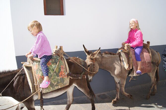 Best of Rhodes Tour including Lindos and Medieval City - Who Should Book This Tour?