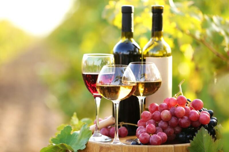 Best of Rhodes Tour including Lindos and Medieval City - Who is This Tour Best For?