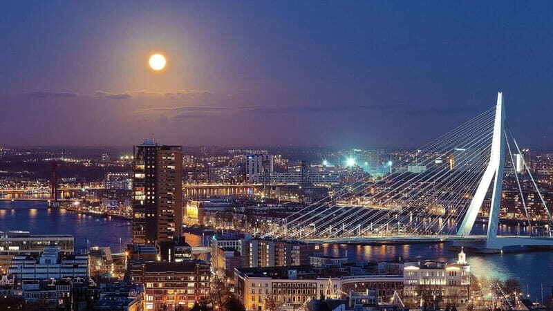 Best of Rotterdam: Private Walking Tour with a Local - The Sum Up