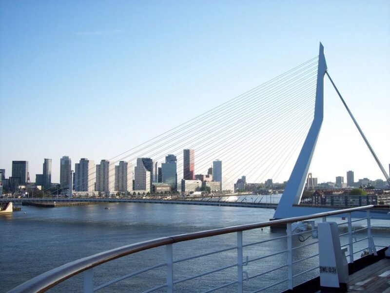 Best of Rotterdam: small-group walking tour - The Value of This Tour