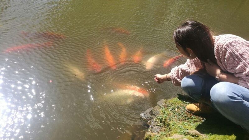 Best of São Miguel 2 Days Private Tour - FAQs