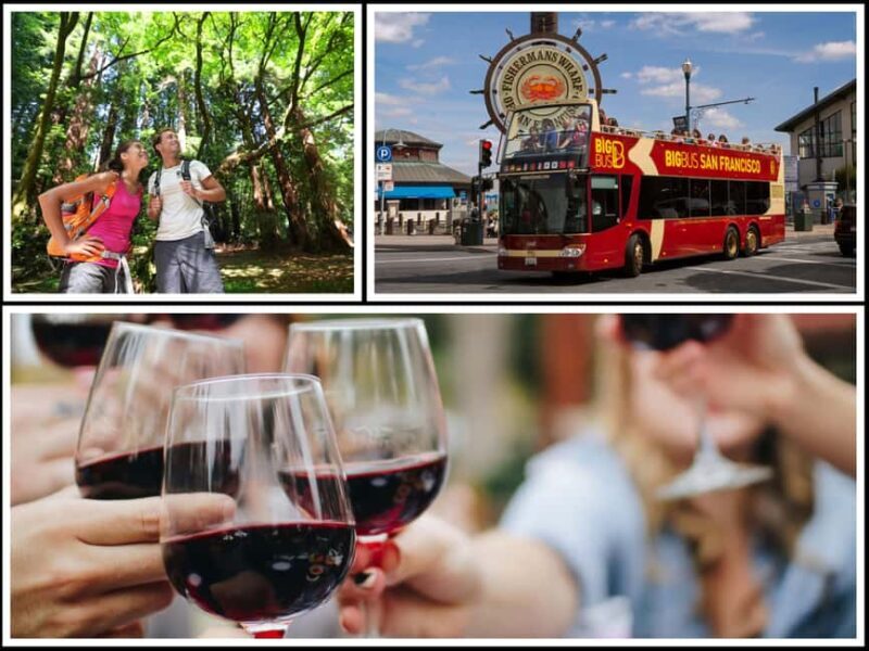 Best of SF: Wine Country, Redwoods, and Hop-on Hop-off Tour - Key Points
