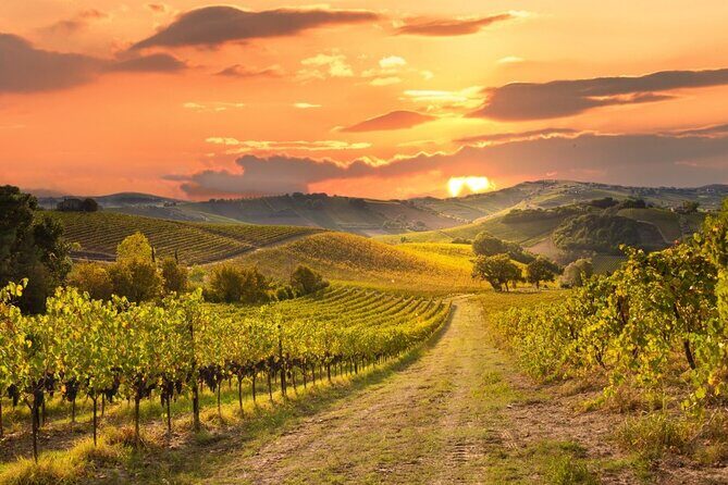 Best of Sonoma Scenic Tour (Join In) - Introduction