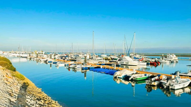 Best of the East: Day Trip to Faro, Olhão, Tavira, & more - Value and Practical Considerations