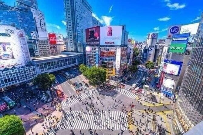Best of Tokyo Private Tour English Driver &Customizable Itinerary - Key Points