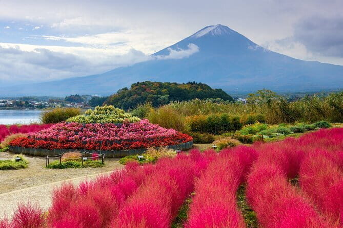 Best of Tokyo Private Tour English Driver &Customizable Itinerary - Who Is This Tour Best For?