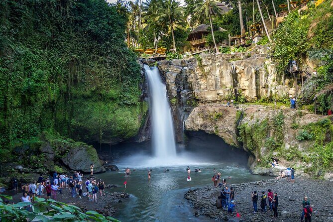 Best of Ubud 1-Day Private Tour - An In-Depth Look at the Itinerary