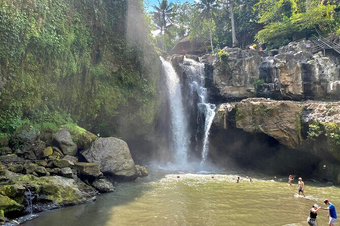 Best Of Ubud Half Day Private Guided Tour - An In-Depth Look at the Itinerary