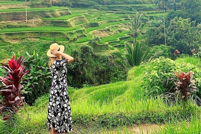 Best of Ubud - Kintamani Volcano View - Private Tour - An In-Depth Look at the Itinerary