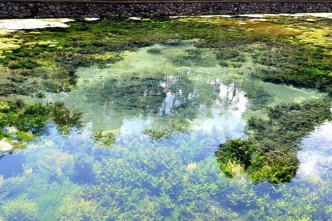 Best of Ubud - Kintamani Volcano View - Private Tour - FAQs