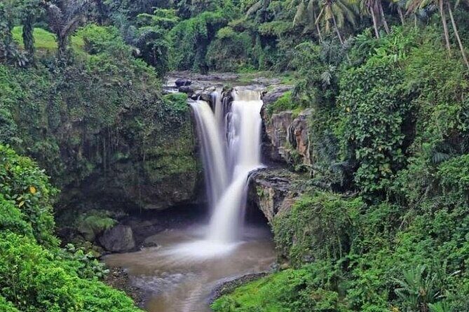 Best of Ubud Private Tour with Jungle Swing Experience - Final Thoughts: Why Choose This Tour?