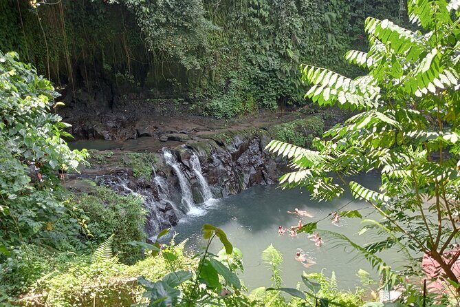 Best of Ubud Scenic Tamansari Waterfall Private Guided Tour - Practical Details and Value