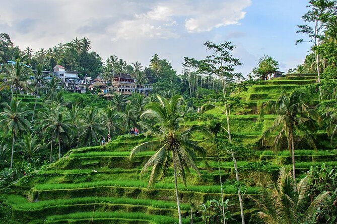 Best of Ubud Tours with Jungle Swing ( All Inclusive ) - Discovering Ubud: What’s Included in the Tour?