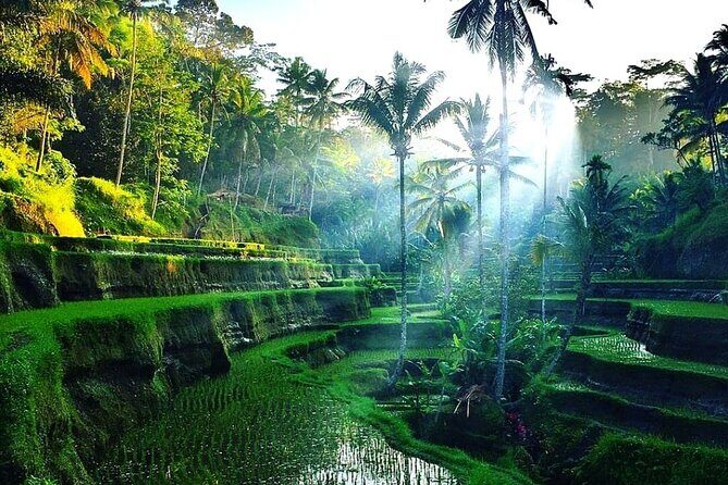 Best of Ubud - Ubud Tour Popular - All Inclusive - An In-Depth Look at the Ubud Tour Experience