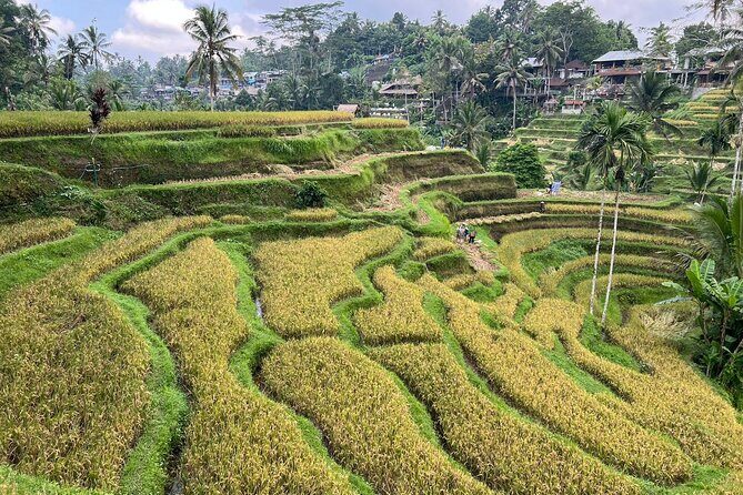 Best of Ubud - Ubud Tour Popular - All Inclusive - Final Thoughts