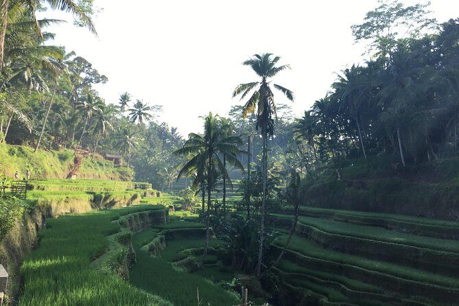 Best of Ubud Waterfalls, Tegalalang Rice Terrace and Swing Tour - Final Thoughts
