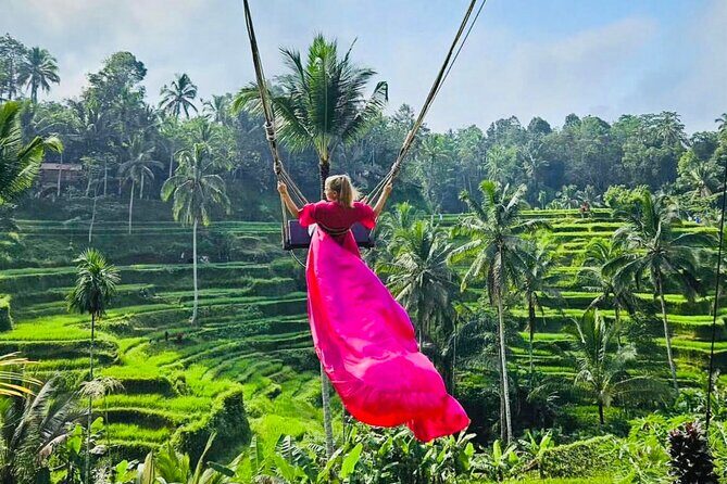 Best of Ubud with Jungle Swing Experience - Transportation and Guide Experience