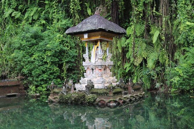 Best of Ubud with Jungle Swing Experience - Authentic Experiences and Hidden Gems
