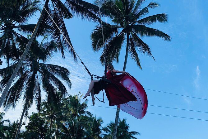 Best of Ubud with Jungle Swing Experience - Final Thoughts